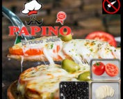 1016 Pizza Napolitana con tomate, muzzarella, aceitunas. SIN SAL