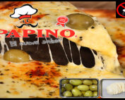 1045 Pizza de Muzzarella sin sal